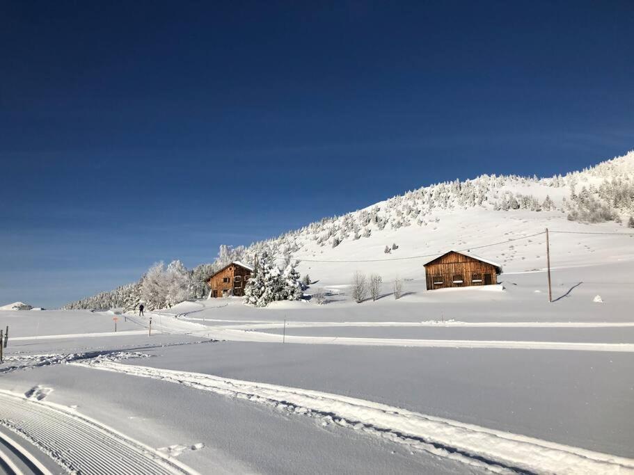 Appartement Au Pays Du Mont-Blanc Sallanches Zewnętrze zdjęcie