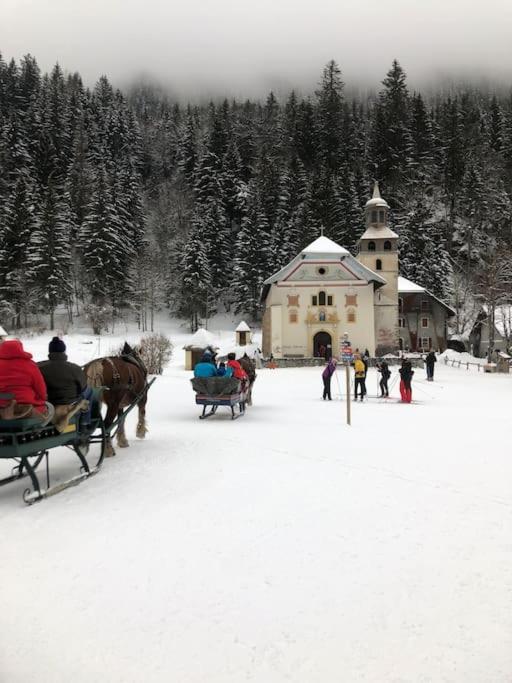 Appartement Au Pays Du Mont-Blanc Sallanches Zewnętrze zdjęcie