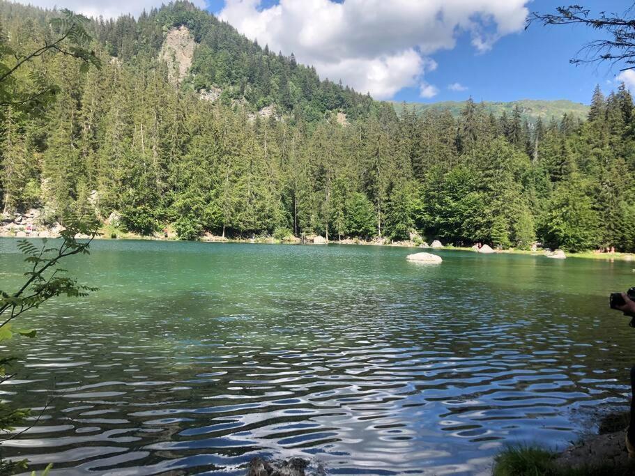 Appartement Au Pays Du Mont-Blanc Sallanches Zewnętrze zdjęcie