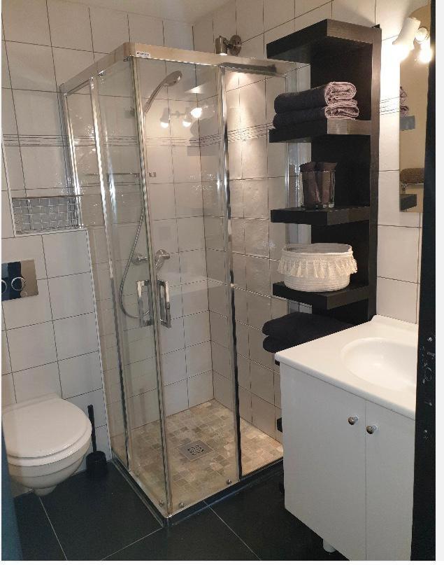 Appartement Au Pays Du Mont-Blanc Sallanches Zewnętrze zdjęcie